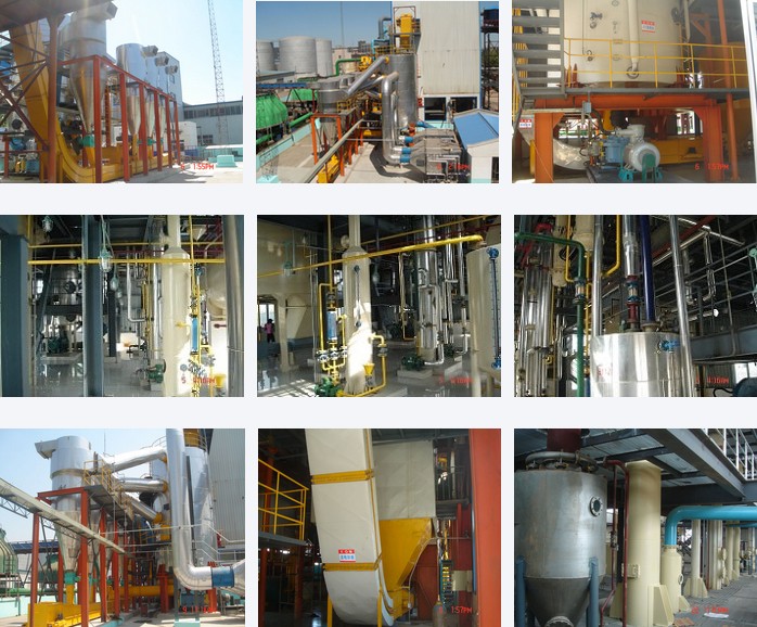 edible oil solvent extraction process project