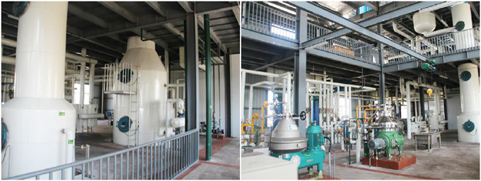 sunflower oil refining machine 