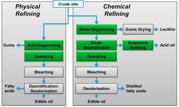 edible oil refinery process