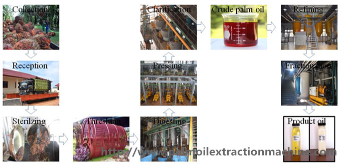 palm oil making machine 