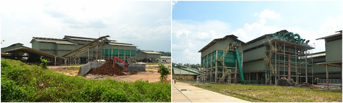 palm oil mill plant 