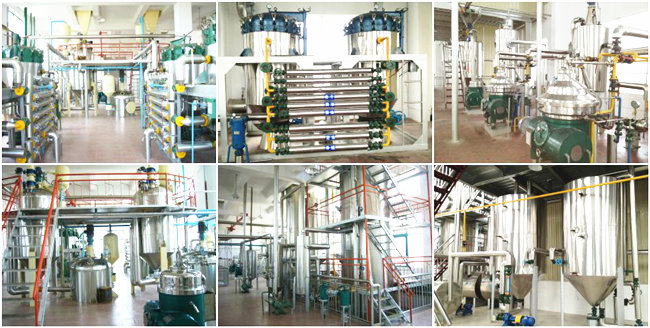 large scale edible oil refinery plant 