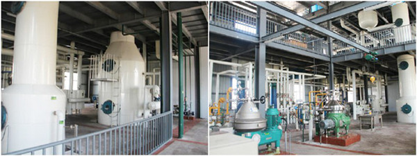 soybean oil deodorization tower 