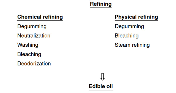 edible oil refining process