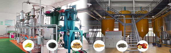 edible oil refinery plant 