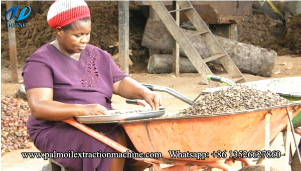 palm nut cracaking and separating machine 