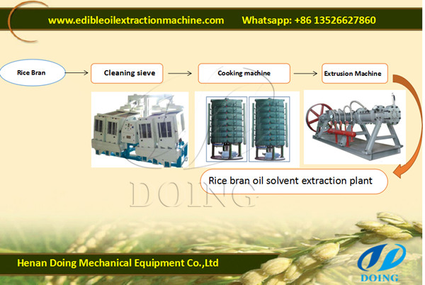 rice bran oil extraction process