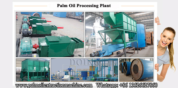 palm oil extraction machine 