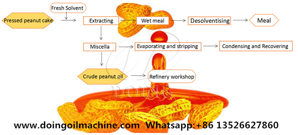 vegetable oil solvent extraction process