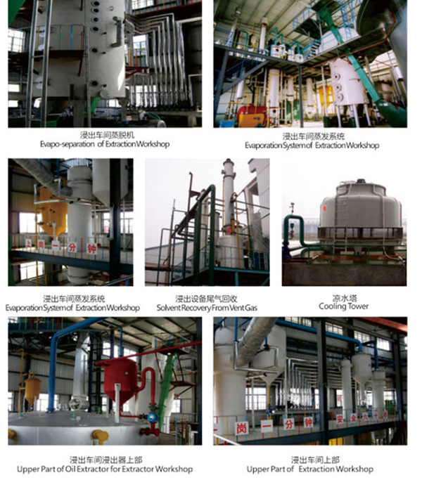 vegetable oil solvent extraction plant 