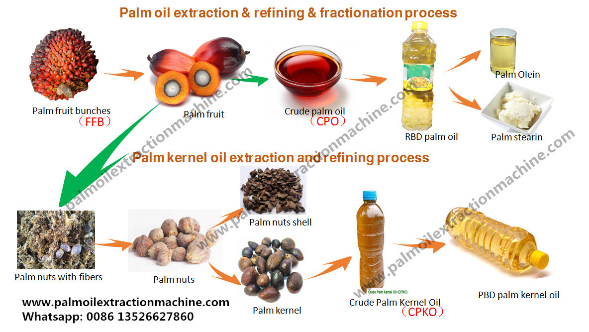 business plan on palm kernel oil production