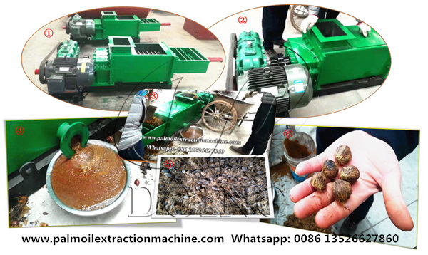 palm oil press machine 