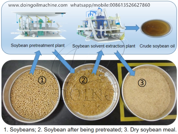 soybean oil extraction process