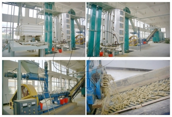 rice bran oil processing machine