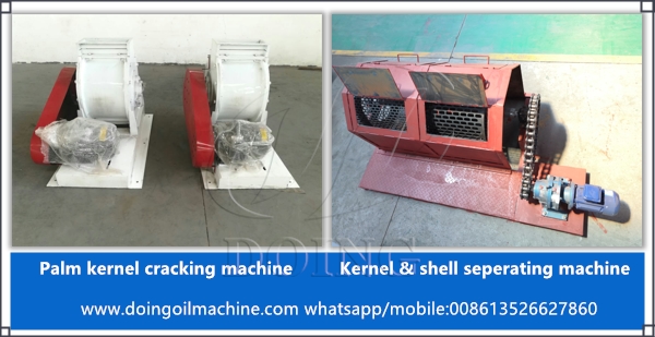 palm kernel oil extraction machine