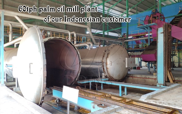 palm oil mill plant in indonesia