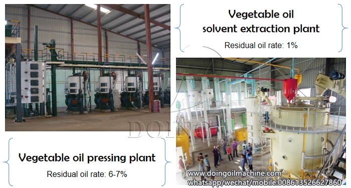 vegetable oil production machine