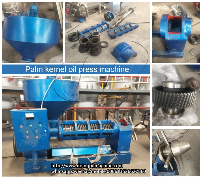 palm kernel oil press machine