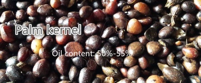 palm kernel