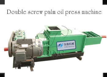 palm oil press machine