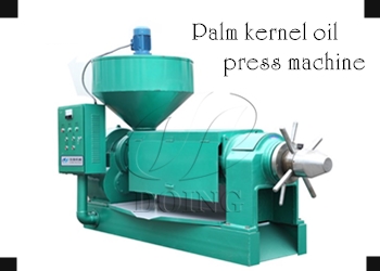 palm kernel oil press machine