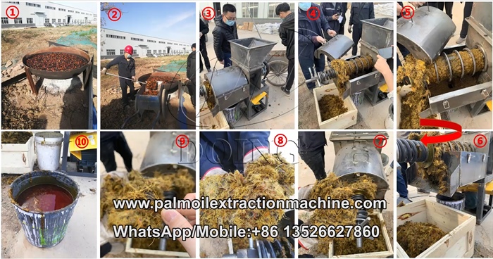 small palm oil expeller