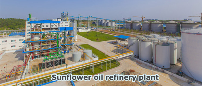 sunflower oil refining machine