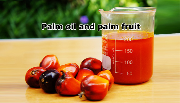 Palm oil and palm fruit