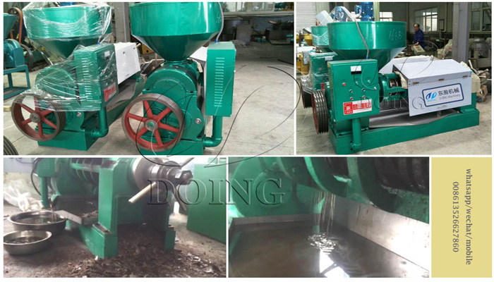 palm kernel oil press machine