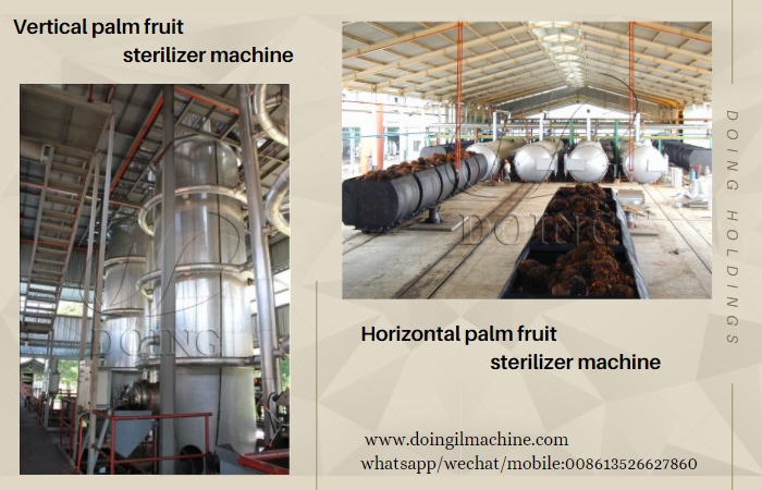 palm fruit sterilizer machine