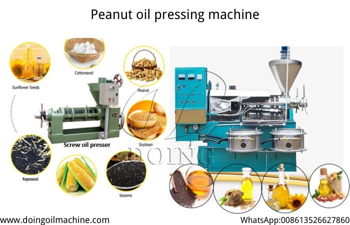 peanut oil processing machine