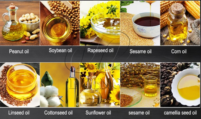 oil seeds and edible oil