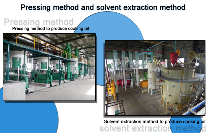 pre-pressing&solvent extraction