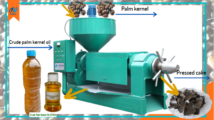 palm kernel oil extractor